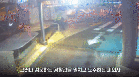 yj_jane giphygifmaker GIF