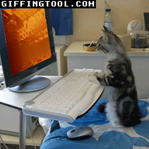 giphyupload GIF
