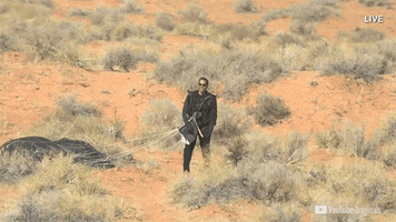 Look Up David Blaine GIF by YouTube