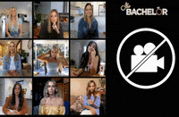 Thebachelor GIF by The Bachelor Australia