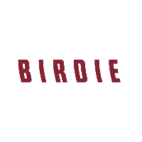 Bronco Golf Sticker by Santa Clara Broncos