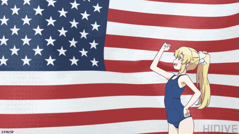 american flag america GIF by HIDIVE