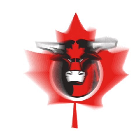 Team Canada Sticker by Professional Bull Riders (PBR)