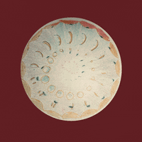 gabrielabran gabrielabran GIF