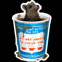 lostinthecity_ny coffee nyc new york city mouse GIF