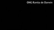 Darwins Frog Chile GIF by Ranita de Darwin ONG