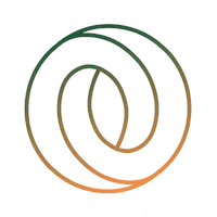 Logo Orange GIF by 1671 Finance & Organize