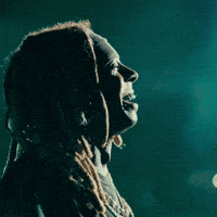 Weezy Liltunechi GIF by Respective