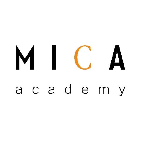 micaacademy academy mica wella parrucchieri Sticker