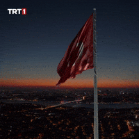 19 Mayıs Turkey GIF by TRT