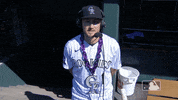 Regular Season Sport GIF by MLB