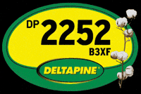 Deltapine GIF by Bollgard