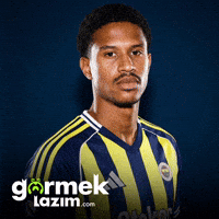 Fenerbahce GIF by Görmek Lazım
