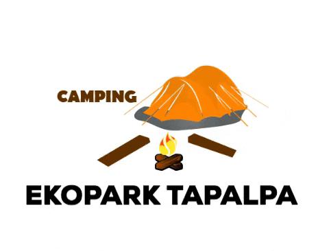 EKOPARKTAPALPA giphygifmaker camping tapalpa ekoparktapalpa GIF