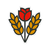 Womens Rights Rose Sticker by Bread & Roses Digital