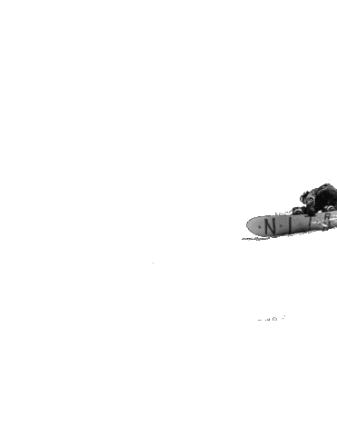 Snowboarding Nitro Snowboards Sticker by nitrousa