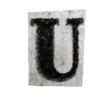 Typography Collage Sticker