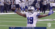 2018 Nfl Football GIF by NFL