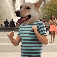 Choser GIF by vivelemerde