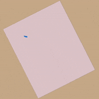 Mothers Day Mother GIF by NeighborlyNotary®