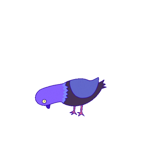 hayeonssong giphyupload crazy surprise pigeon Sticker