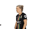 Celebrate Northern Ireland Sticker by Glentoran Women FC