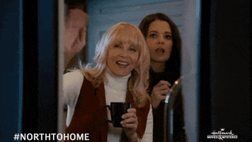 Barbara Niven Flirting GIF by Hallmark Mystery