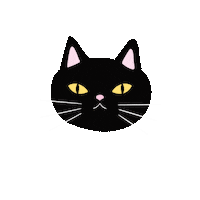 Black Cat Sticker