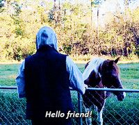 stephen amell roleplay GIF