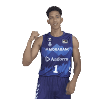 Liga Endesa Basketball Sticker by ACB