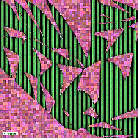 michelpoisson giphyupload art python abstraction GIF