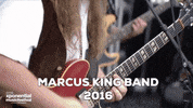 GIF by WXPN