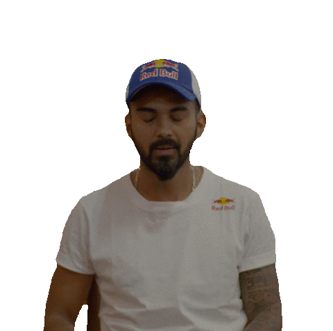 mood india Sticker by Red Bull