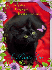 i miss you GIF by youramazing