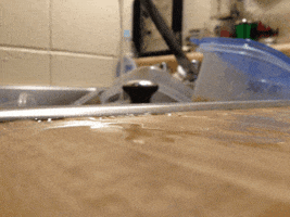 dishes GIF
