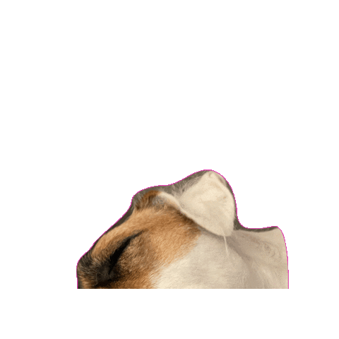 Tired Dog Sticker by arielle-m