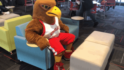 Montclair State University GIF by Rocky the Red Hawk