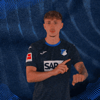 Sport Bundesliga GIF by TSG Hoffenheim