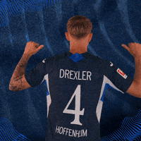 Sport Bundesliga GIF by TSG Hoffenheim