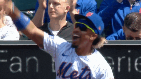 Happy Major League Baseball GIF by New York Mets