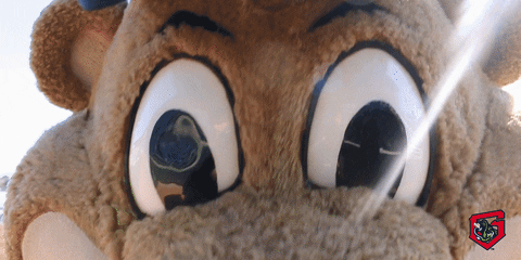 chopper watching GIF by Gwinnett Stripers