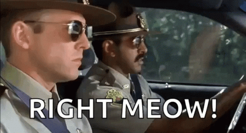 Super Troopers GIF
