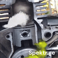 Georgia Grass GIF by Spektr