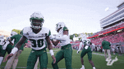 College Football GIF by USF Athletics