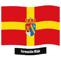 Castilla Y Leon Flag Sticker by Formación Ninja