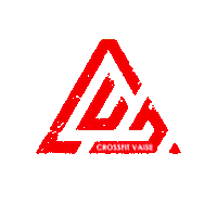 crossfitvaisedistrict crossfit accompagnement crossfitvaisedistrict crossfitlyon Sticker
