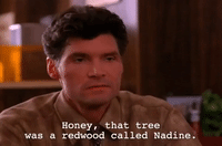 season 2 GIF by Twin Peaks on Showtime