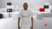 Posing Line Up GIF by Bundesliga