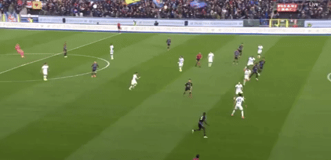 kareljedlika giphyupload GIF