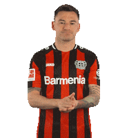 Sarcastic Bayer 04 Sticker by Bayer 04 Leverkusen